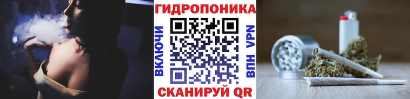Магазины продажи наркотиков Сясьстрой А ПВП Псилоцибиновые грибы КОКАИН Меф мяу мяу Гашиш Марихуана
