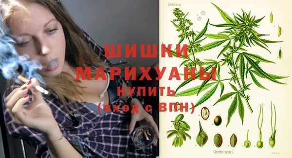 ГАЛЛЮЦИНОГЕННЫЕ ГРИБЫ Новодвинск