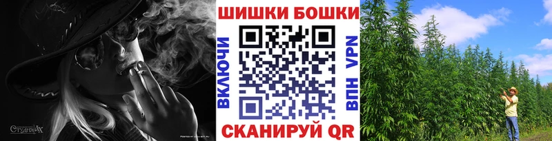 Бошки Шишки марихуана  продажа наркотиков  Сясьстрой 